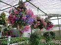 140429senioren_messkirch (11)